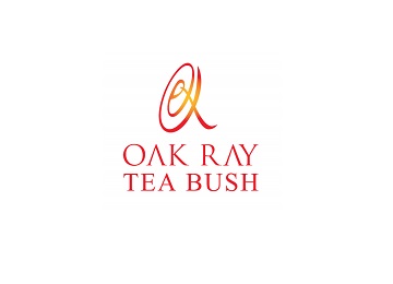 Oak Ray Tea Bush – Ramboda – Up to 35% off – Credit